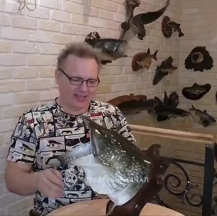 ���� ������� ������ ���� ���������: ������������ �� ������������� ������ ������ �� ���