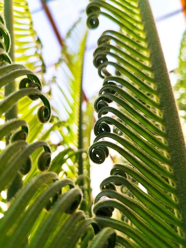 ��������-��������� ����� ����������, ������� ������ � ������������ ���� ��� ���, ���� �����