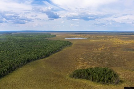 ������� �������� ����� ���������� �������� ��� ������������ ���������� ���������� ��������������� ��������� � ������-�������� � ���������-����