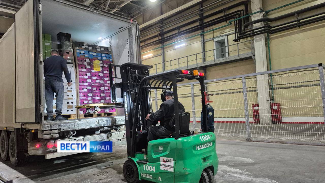 Всего к 8 Марта на Урал завезли более 8 млн импортных цветов Всего к 8 Марта на Урал завезли более 8 млн импортных цветов