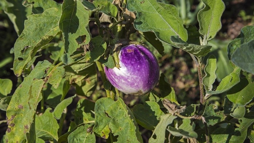 ������� � ������ ����� ��� ����������� ����������: ��� ��������� ������ � ��� ����