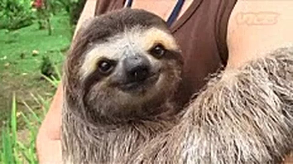 ��������, ����� ������������! ������� ��� ����!