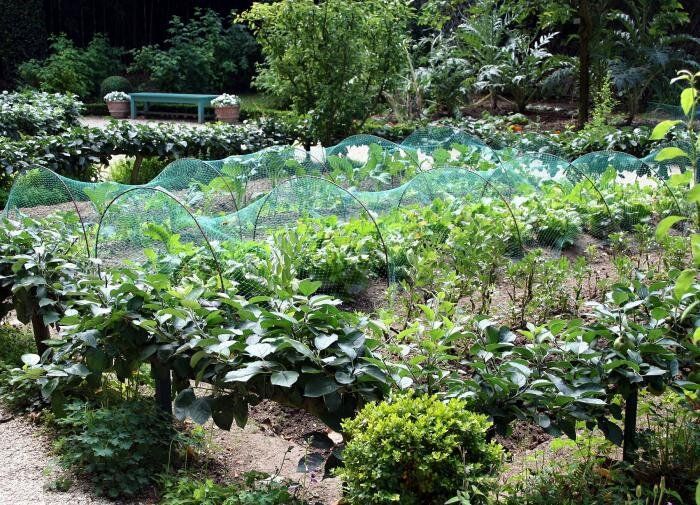 ��� �������� ������ ������� �� ����� ��������