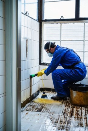 Плесень в доме: Как эффективно избавиться от грибка и защититься от него