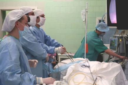 В кистах печени и легкого екатеринбурженки нашли личинок паразита