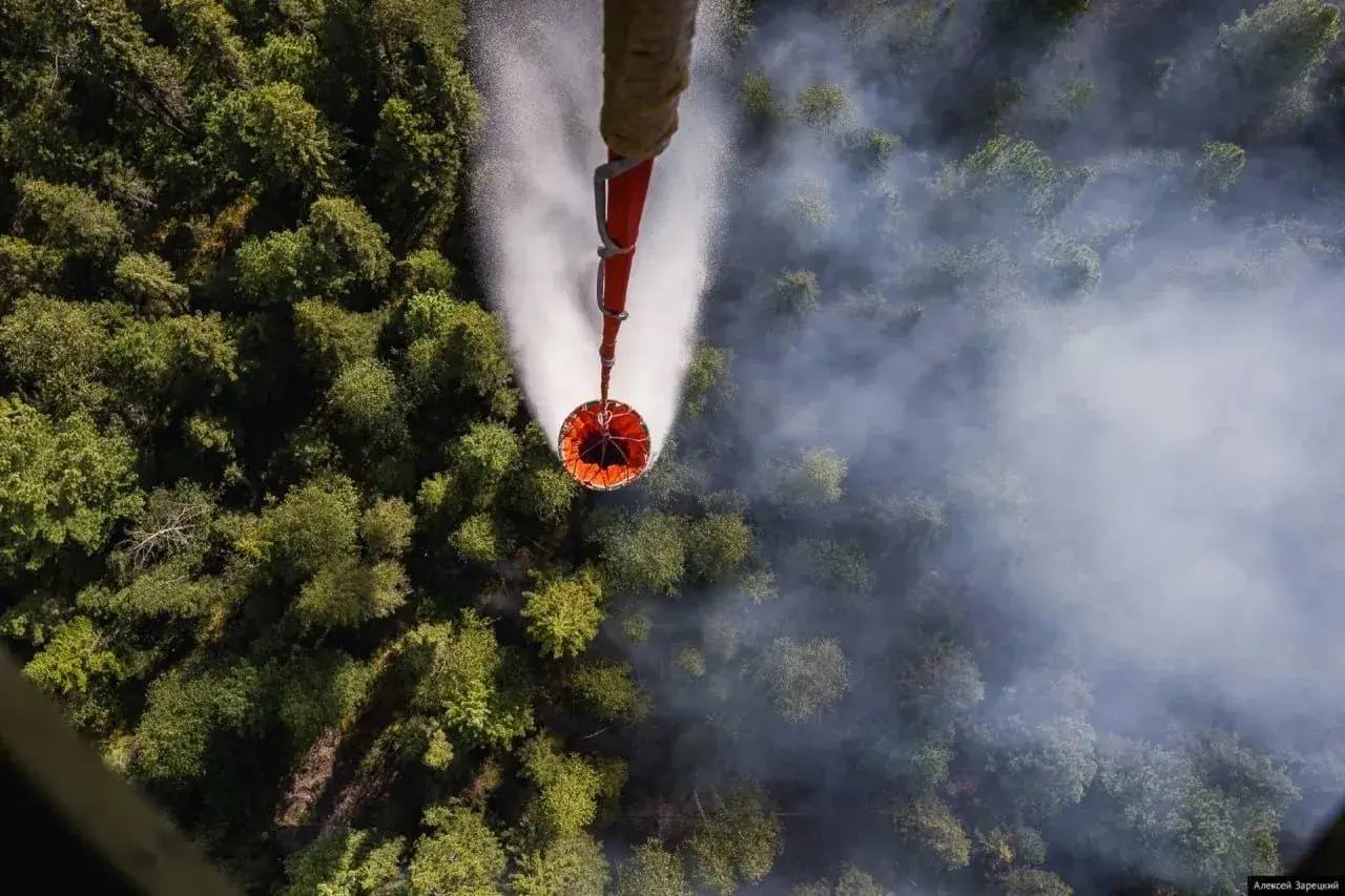 Денис Паслер направил порядка 720 миллионов рублей на защиту лесов от пожаров