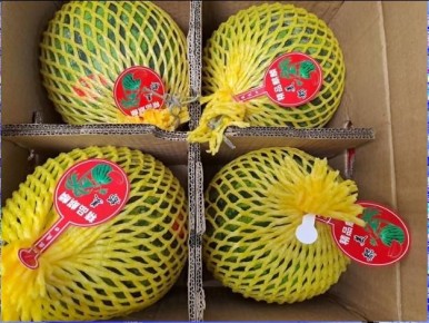 �������� ������� ������� �� ���� �� �����