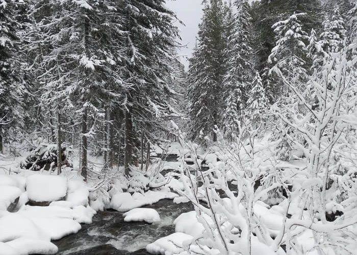 По информации Ural Mash, о пропаже людей в Пермском крае сегодня сообщил родственник одного из туристов