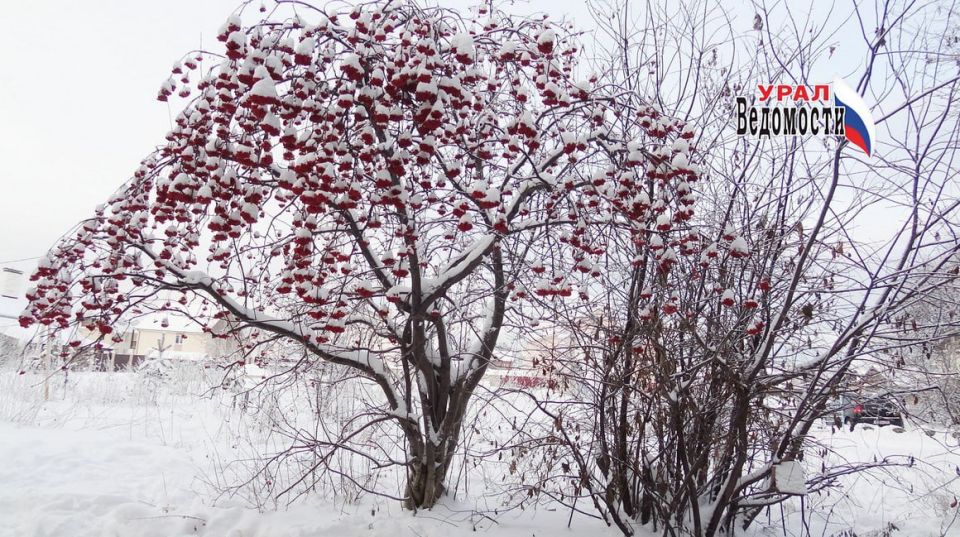 ������ ����, ����! ������� � ��������� ������ ������� ������