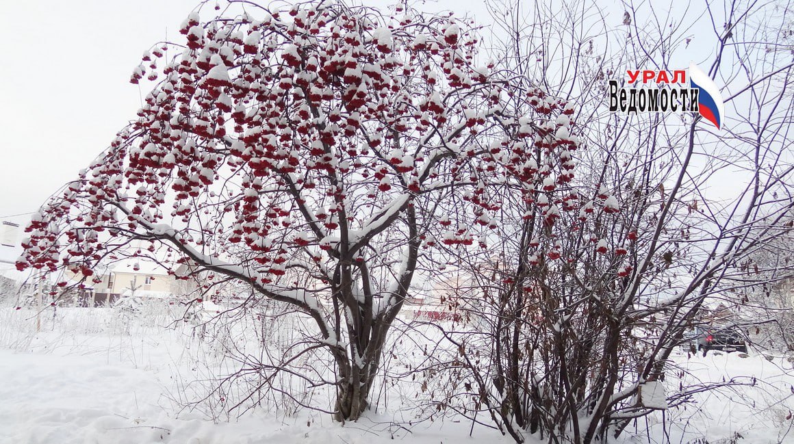 Доброе утро, Урал! Пятница — финальный аккорд рабочей недели