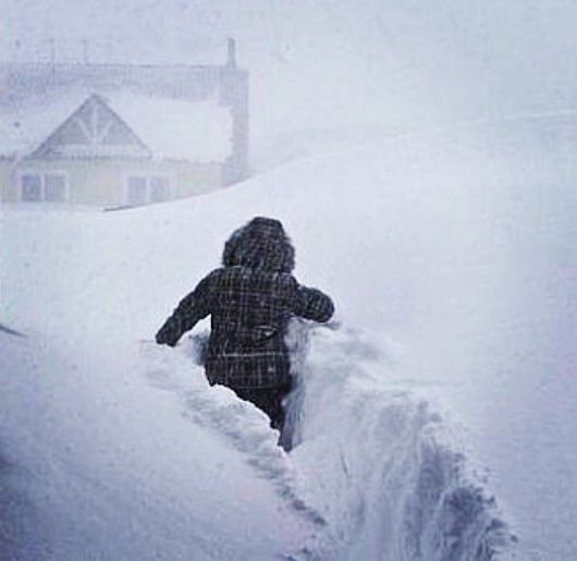 � ������ ���� ����� ������������ ������� ������