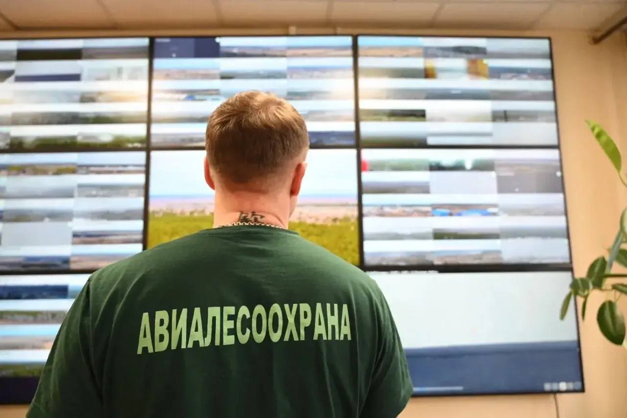 Денис Паслер направил порядка 720 миллионов рублей на защиту лесов от пожаров Денис Паслер направил порядка 720 миллионов рублей на защиту лесов от пожаров