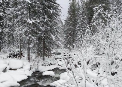 � ������ �� ��������� �������� ��� � ����� gps-������, �� �� ������� ��� � ������