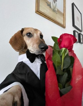 ������������, ����� ����� ����� �� �������� �� 8 �����