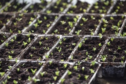 � ��������� � �������, �� ����������� ������������� ������� ������� ��� ���������� ���������� ��������