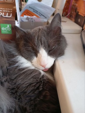 �������,����� � ����� ���� �������