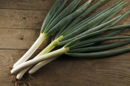 ������� ��������� ����������� ���� �����: �� ������ ����� �� �����