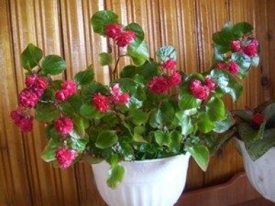 ������� ��� ������ ����: ������������ ����� � ������� �����