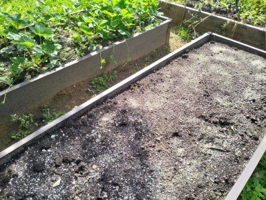 ���������, ������� ������� ����� �������� �����