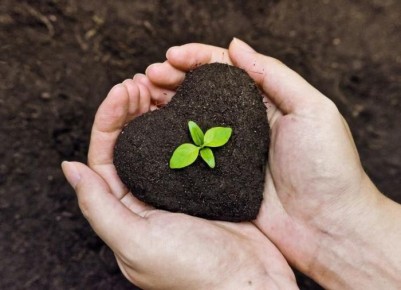 Необычные способы использования детской пудры в вашем саду