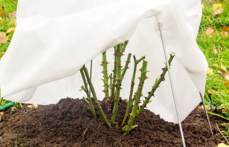 ��� ��������� ������ ���� �� ����: ������ ��� ���������� ���������