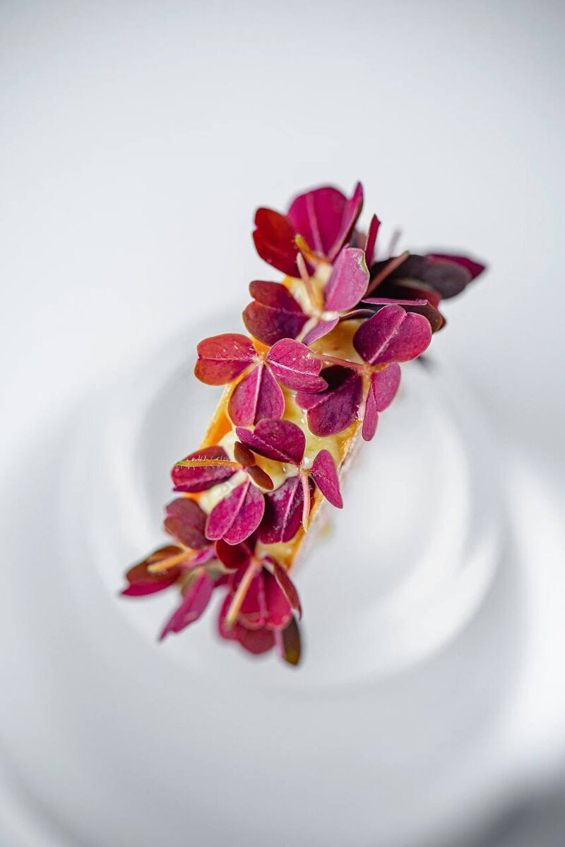 Тар тар из сёмги с сулугуни: наслаждение текстур в дегустационном сете