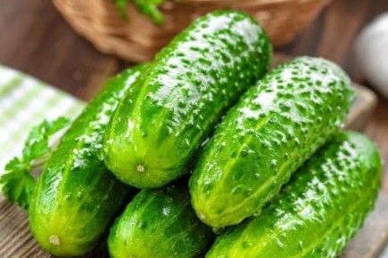 ������������� ������ �����: ������� ��������� �����������