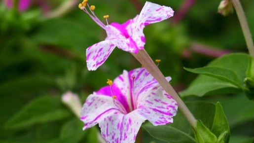 ���������: �������� ������ � ���������� ��������