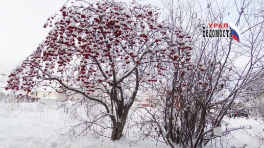 � ������������ ������� ���� ������ �� -29�C � ����