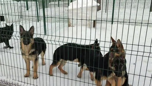 �� ������ � ������ ������ ����������� ����� �� ��������������� ���������