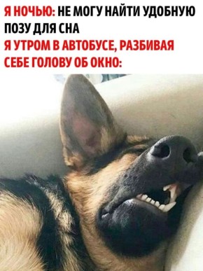 Пятиминутный сон в общественном транспорте полезен для здоровья