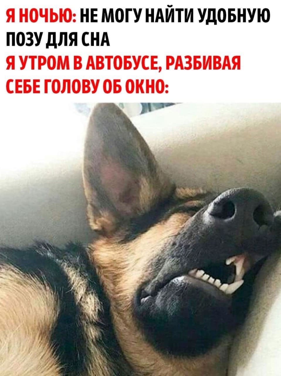 Пятиминутный сон в общественном транспорте полезен для здоровья