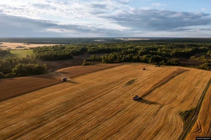 ������������ ������� ������� ������������� ����� 20 ����� �������� ����� ��� ������