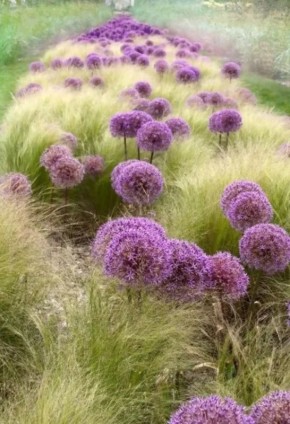 ���������� ����� ��� ��������� ����: ���������, ������� �����������