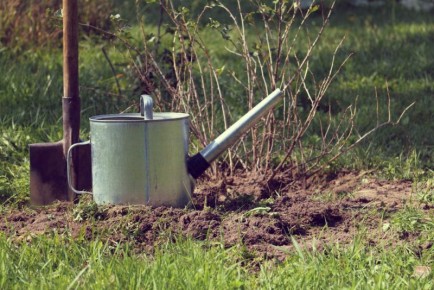 ��� ��������� ������������ ��������� �������� ��� ������ ���������