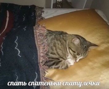 ������ ������� ���������� � ��������?