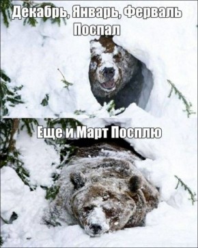 ������� �������� ������� ������������ ������� 8 �����