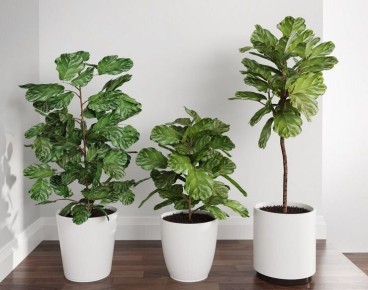 ���-5 ������� ��������� ��������: ������� ��� �������� ����?