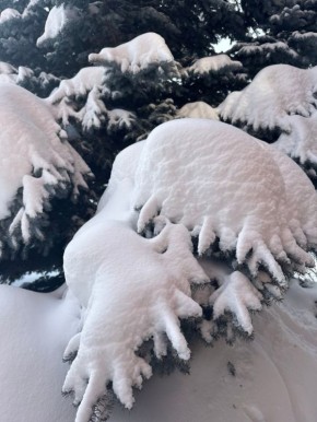 ��������� ������: �������� ���� ���!. ��� ����� � ���