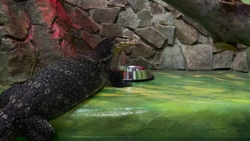 � ���������������� �������� ���������� � ���� �������� ��������� �������