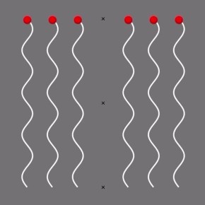 ���� ��� ��������� ����������