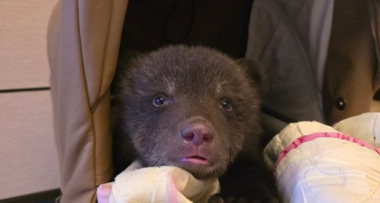 � ������������ ������� ��������� ����� �������� � ���������������� ����� ������