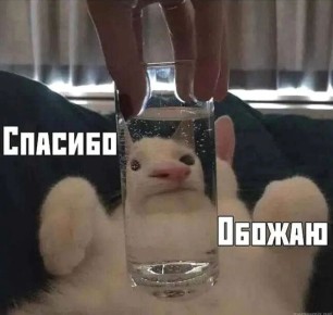 ������������ ���� ����� �������� ������������ � ������� ���������