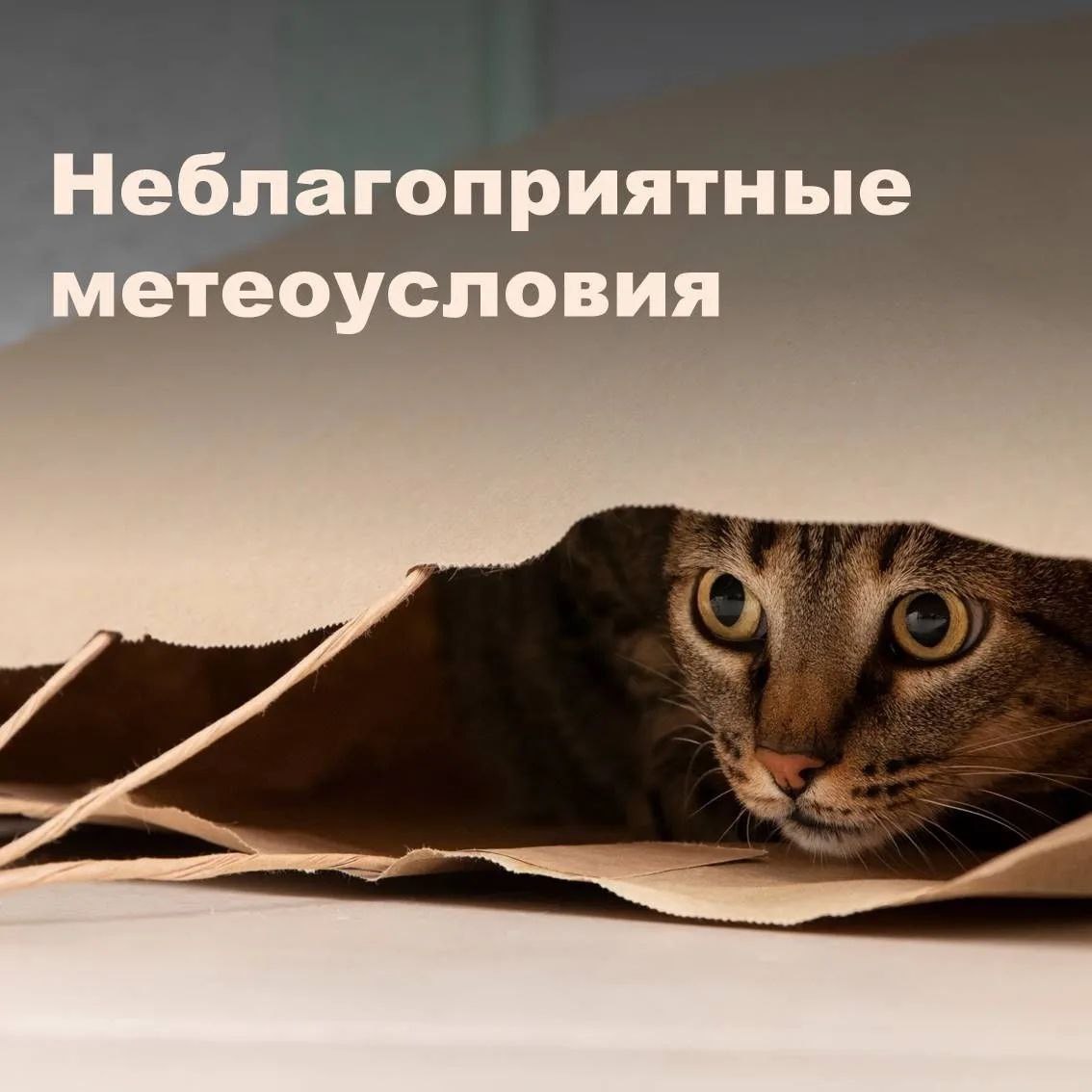 Внимание! До 20:00 18 марта на территории Свердловской области прогнозируются неблагоприятные метеоусловия для рассеивания вредных примесей в атмосферном воздухе