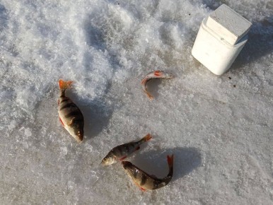 ������ �� ������ ������� ������ � �������������