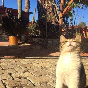 � ������������� ����� ������������� �������� 18 �����