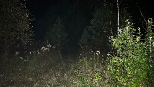 Почти 5 лет лишения свободы дали подростку, который чуть не убил знакомую из-за буллинга