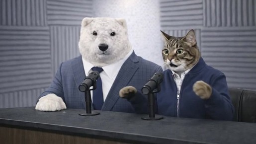 Тигр перекрыл движение на трассе в Хабаровском крае