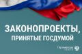 Госдума приняла важные законы: итоги пленарного заседания 17 марта