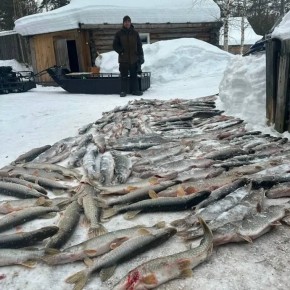 ������� ���� �������� ������ �� ��� ��� � �������� ������ (����)